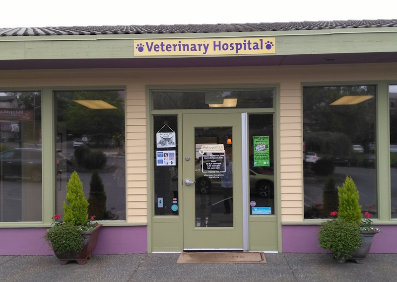 Carousel Slide 1: Learn more about Metropolitan Veterinary Hospital